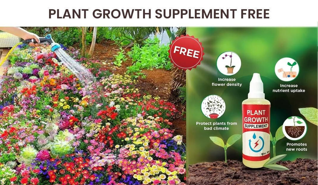 Varieties of Flower Seeds – 100 Seeds Pack + FREE Plant Growth Supplement 🌼✨