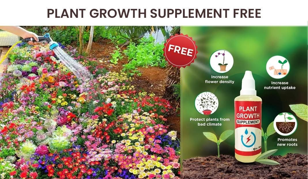 Varieties of Flower Seeds – 100 Seeds Pack + FREE Plant Growth Supplement 🌼✨