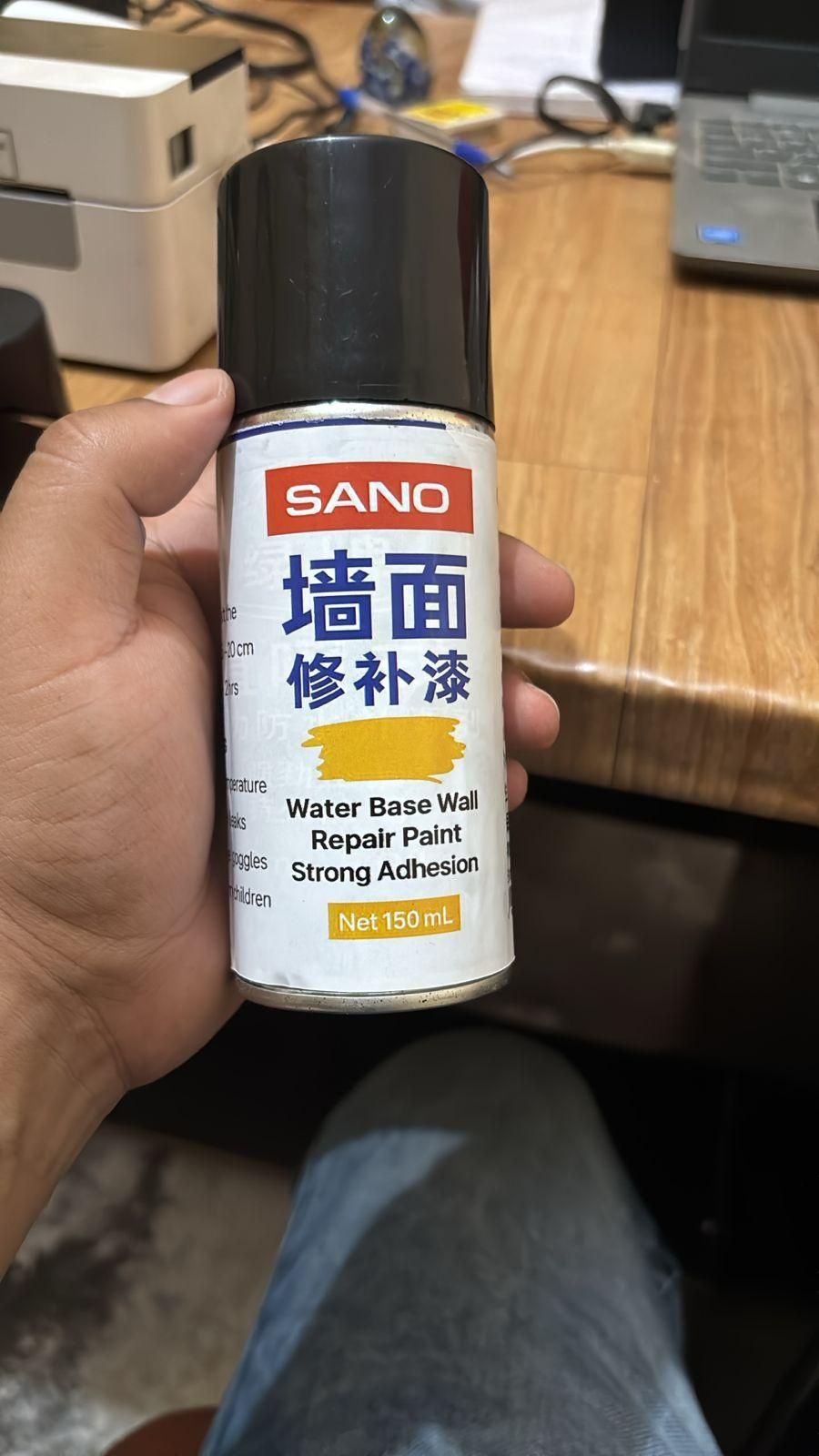 Water Base Wall Repair Paint (150 ml)