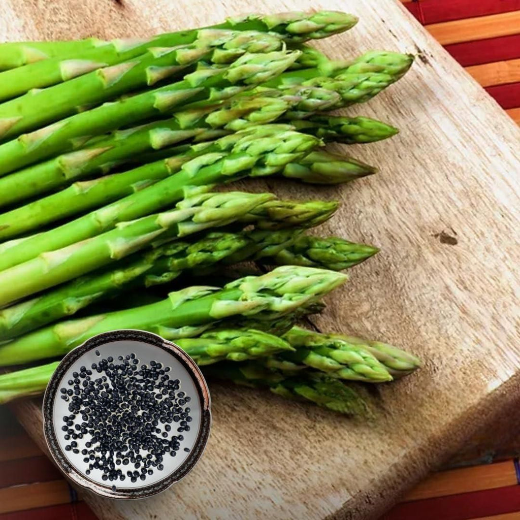 Organic Asparagus Seeds (Pack of 25 & 50)