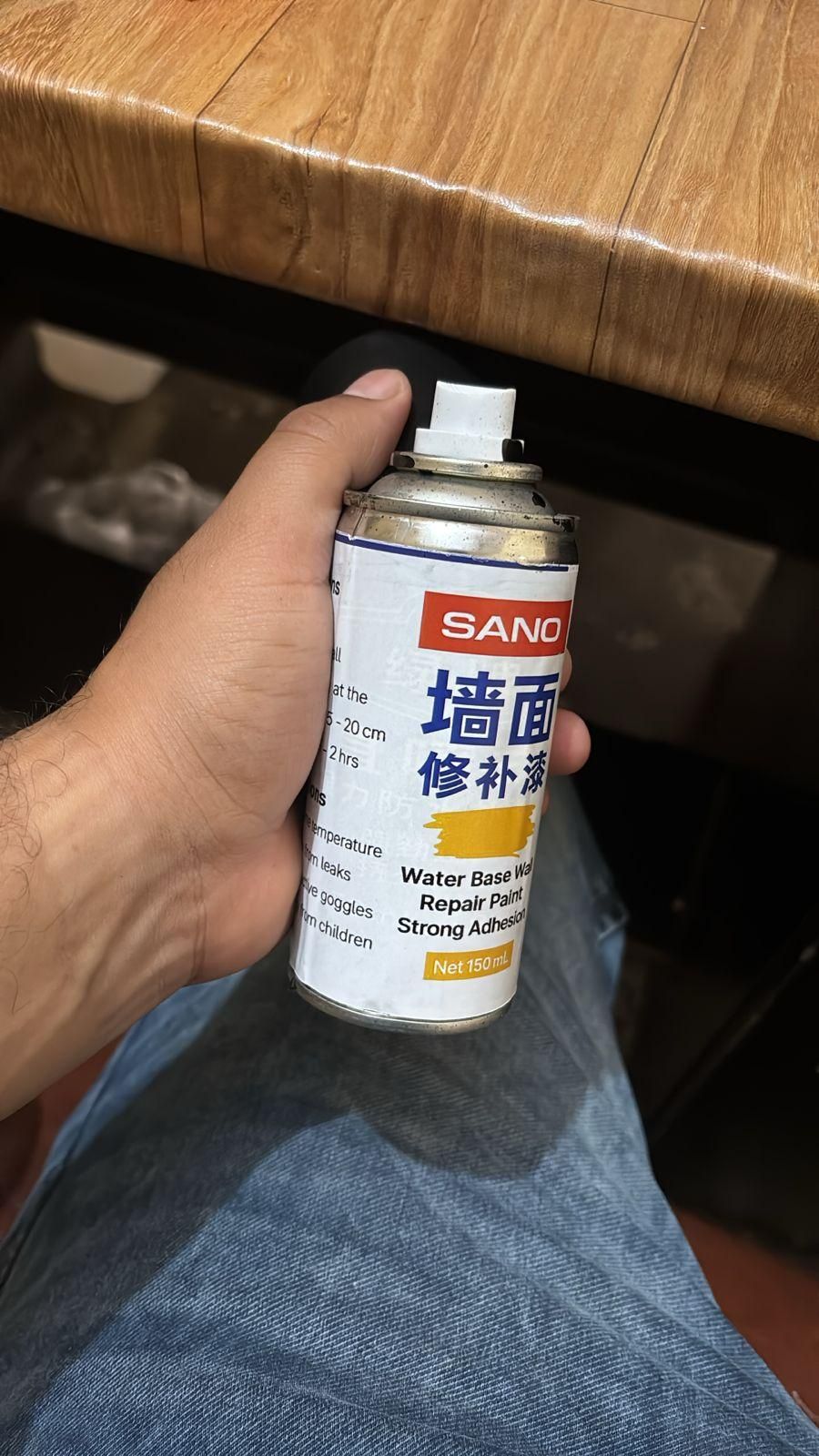 Water Base Wall Repair Paint (150 ml)