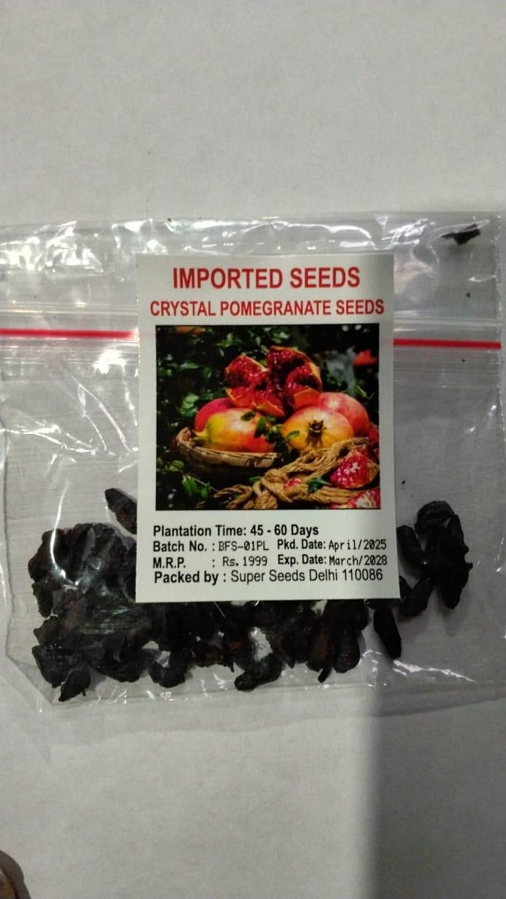 Pomegranate Seeds (Pack of 1)
