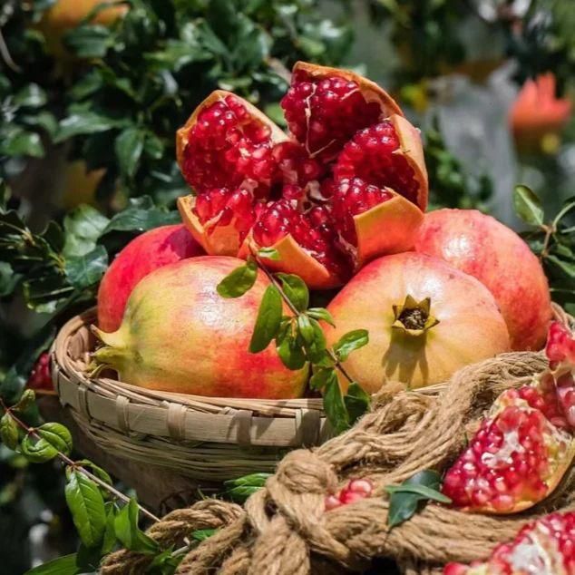 Pomegranate Seeds (Pack of 1)