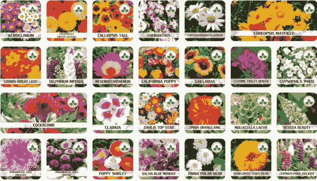 Varieties of Flower Seeds – 100 Seeds Pack + FREE Plant Growth Supplement 🌼✨