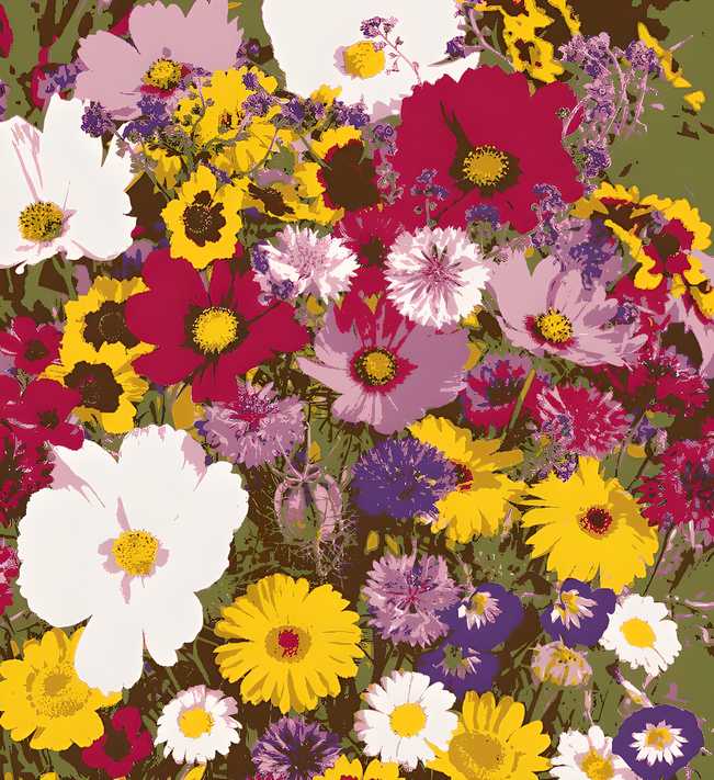 Varieties of Flower Seeds – 100 Seeds Pack + FREE Plant Growth Supplement 🌼✨